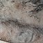 Обои Элизиум 500410 Мрамор